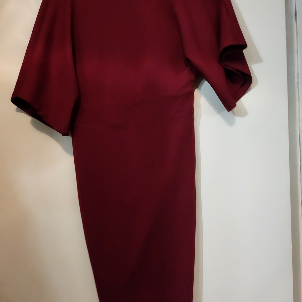 Elegant Burgundy Dress - Picture 4 of 4